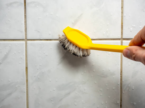 Best Fast Mold Removal  in Ontario, OH