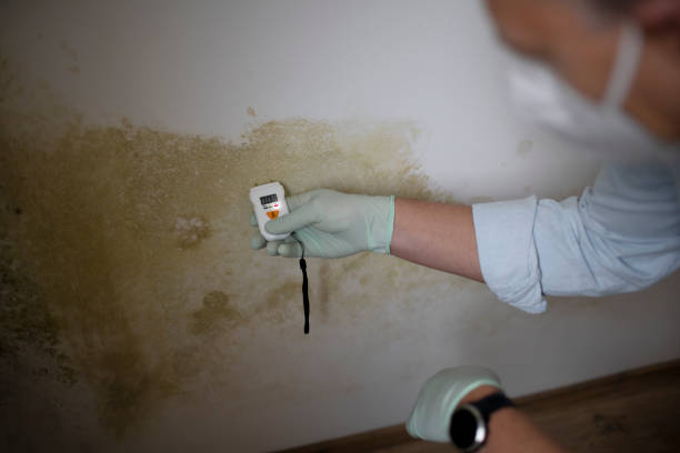 Best Mold Removal Process  in Ontario, OH